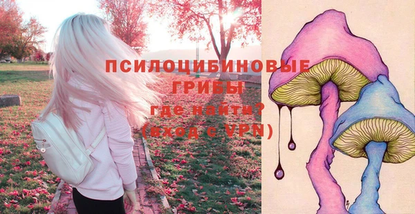 бошки Абдулино