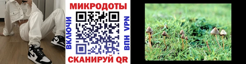 Галлюциногенные грибы мицелий  Дубна 